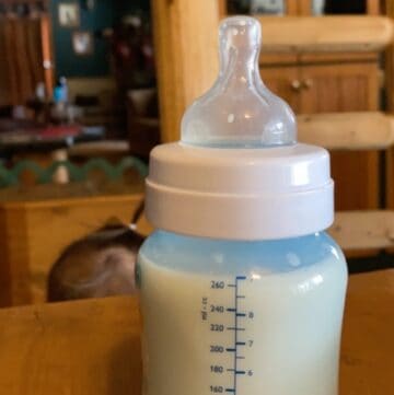 a-baby-bottle-with-milk-formula
