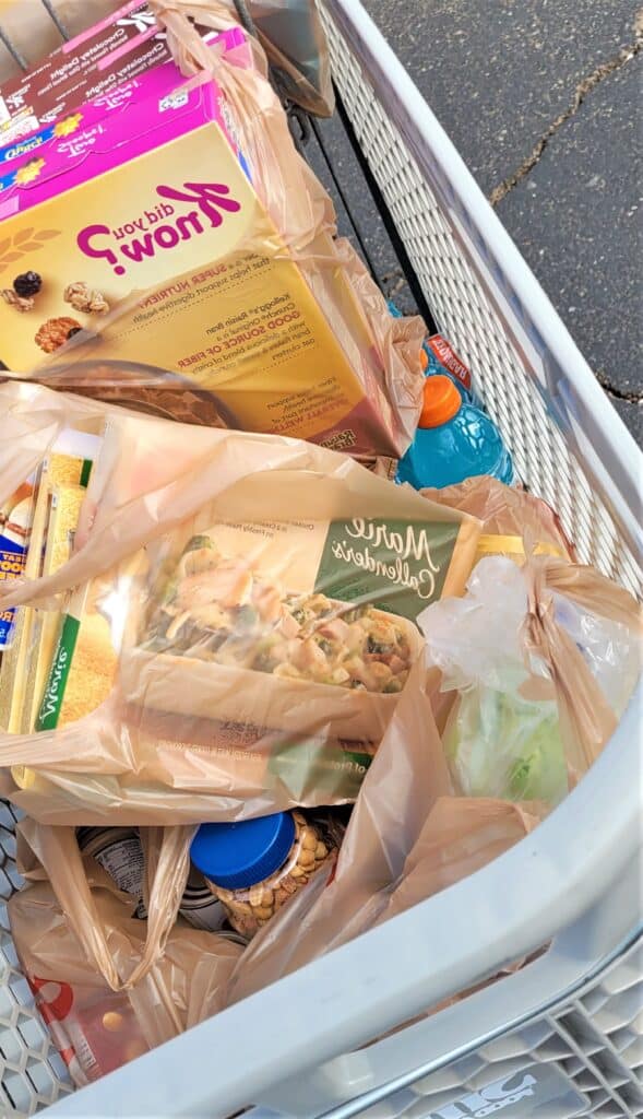 retail-shopping-a-grocery-cart-filled-with-bags-of-groceries-after-grocery-shopping-for-food